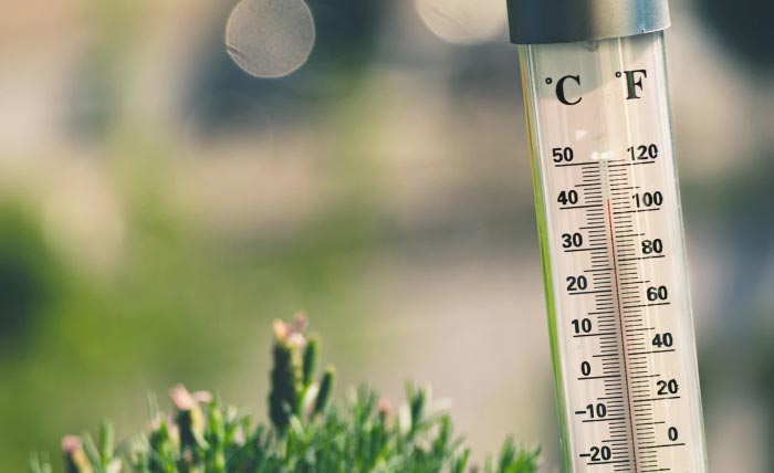 A thermometer placed in the grass showing the temperature.
